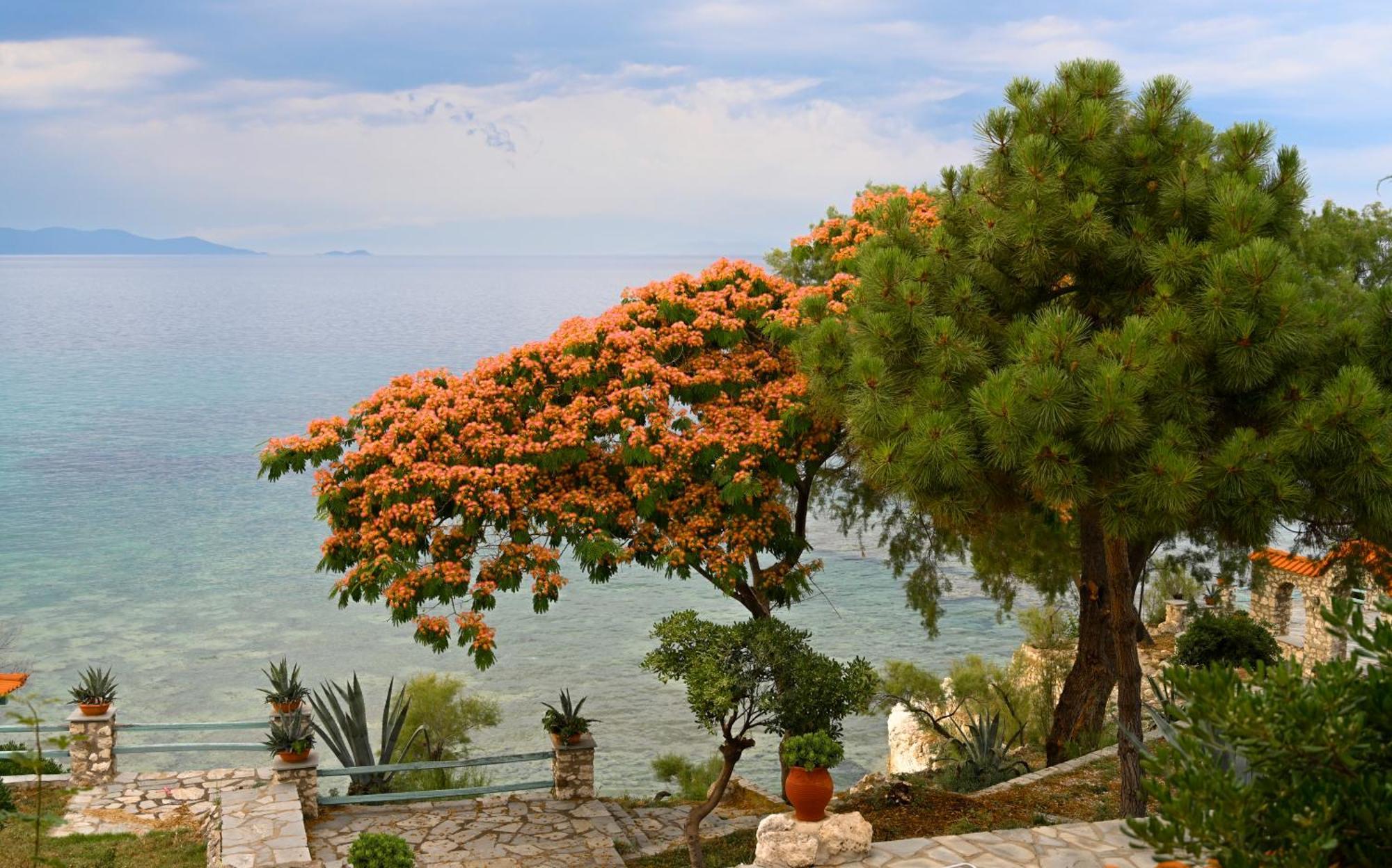 Kiparissi Villa Halkidiki Ierissos Extérieur photo